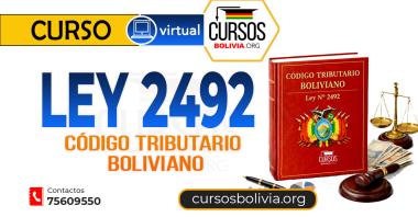 Curso Ley 2492 Virtual 24/07