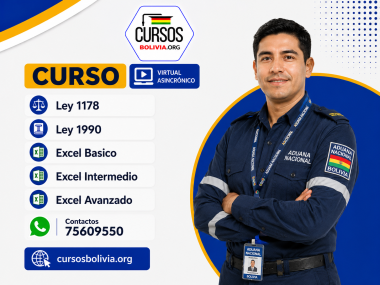 combo aduanero 5 Cursos virtuales Ley 1178 - Ley 1990 - Excel Basico - Excel Intermedio y Excel avanzado