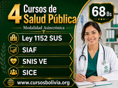 Certificacion 4 Cursos Ley 1152 SIAF SICE y SNISVE