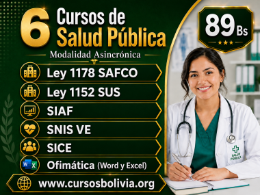 Certificacion 6 Cursos Ley 1178 Ley 1152 SIAF SICE SNISVE OFIMATICA