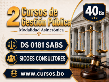 Certificacion DS 0181 SICOES CONSULTORES